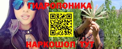 PSILOCYBIN Мариинск