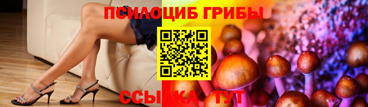 Псилоцибиновые грибы мухоморы Азов